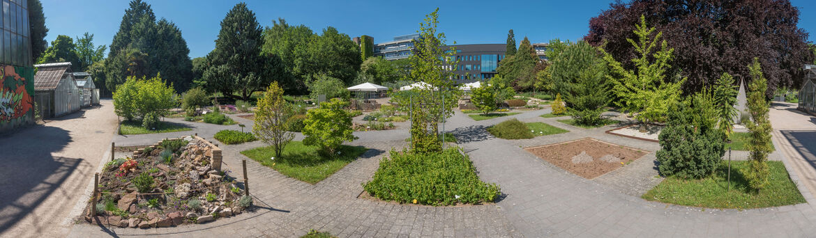 Botanischer Garten Heidelberg