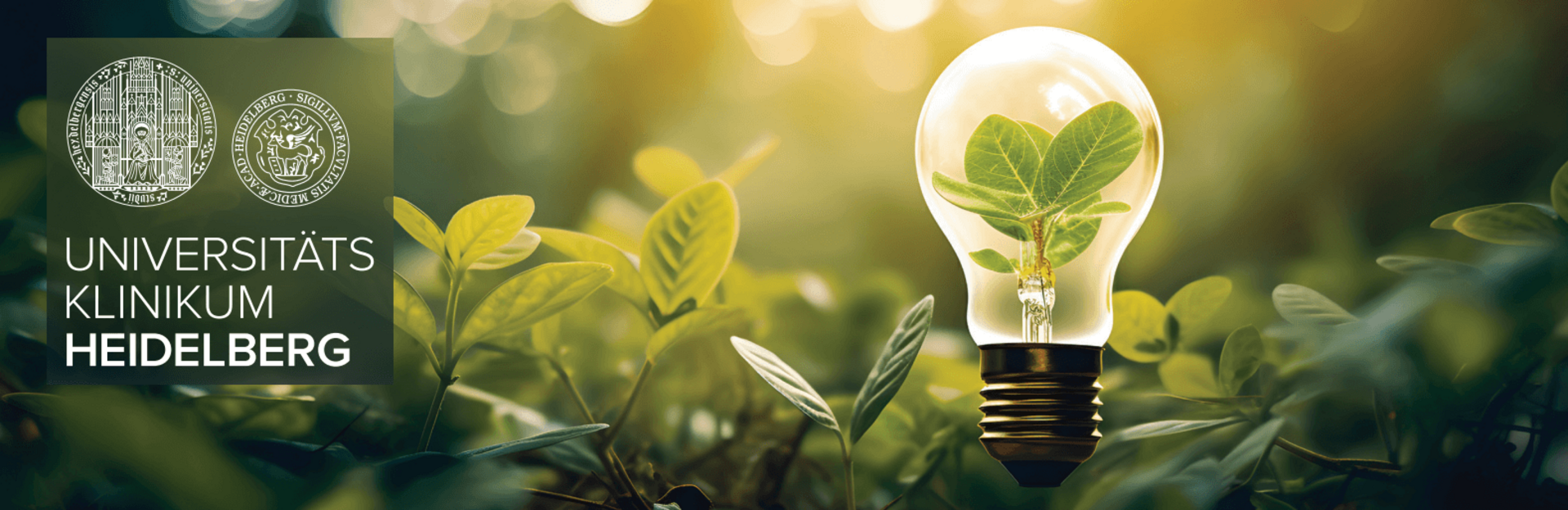 [Translate to English:] UKHD logo to the left of the light bulb in the centre right of the picture. In the light bulb a small branch with four green leaves. In the background warm light shining on green leaves. The background is blurred. 