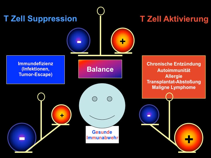 Einfuhrung in die immunchemie und immunologie